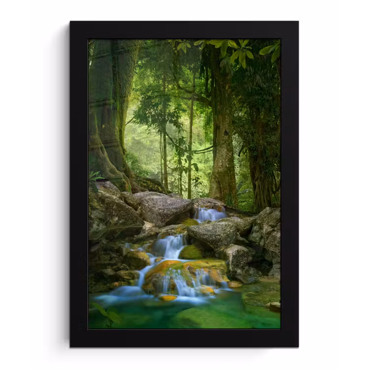 Poster met lijst - Jungle - Stenen - Water - Natuur - Planten — 1