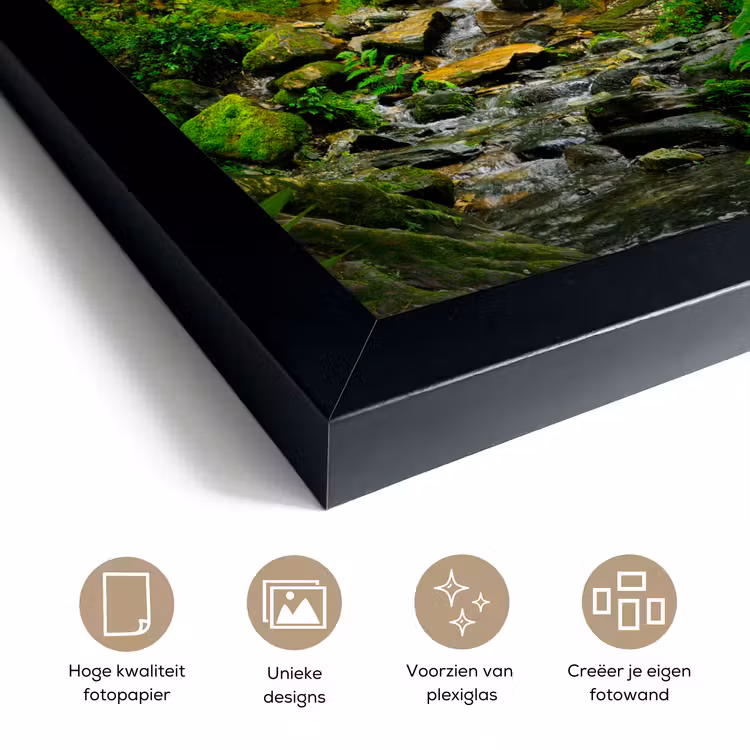 Poster met lijst - Jungle - Water - Bladeren - Zon - Natuur — 6