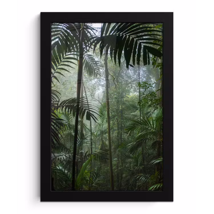 Poster met lijst - Regenwoud - Tropisch - Jungle - Bomen - Planten — 1