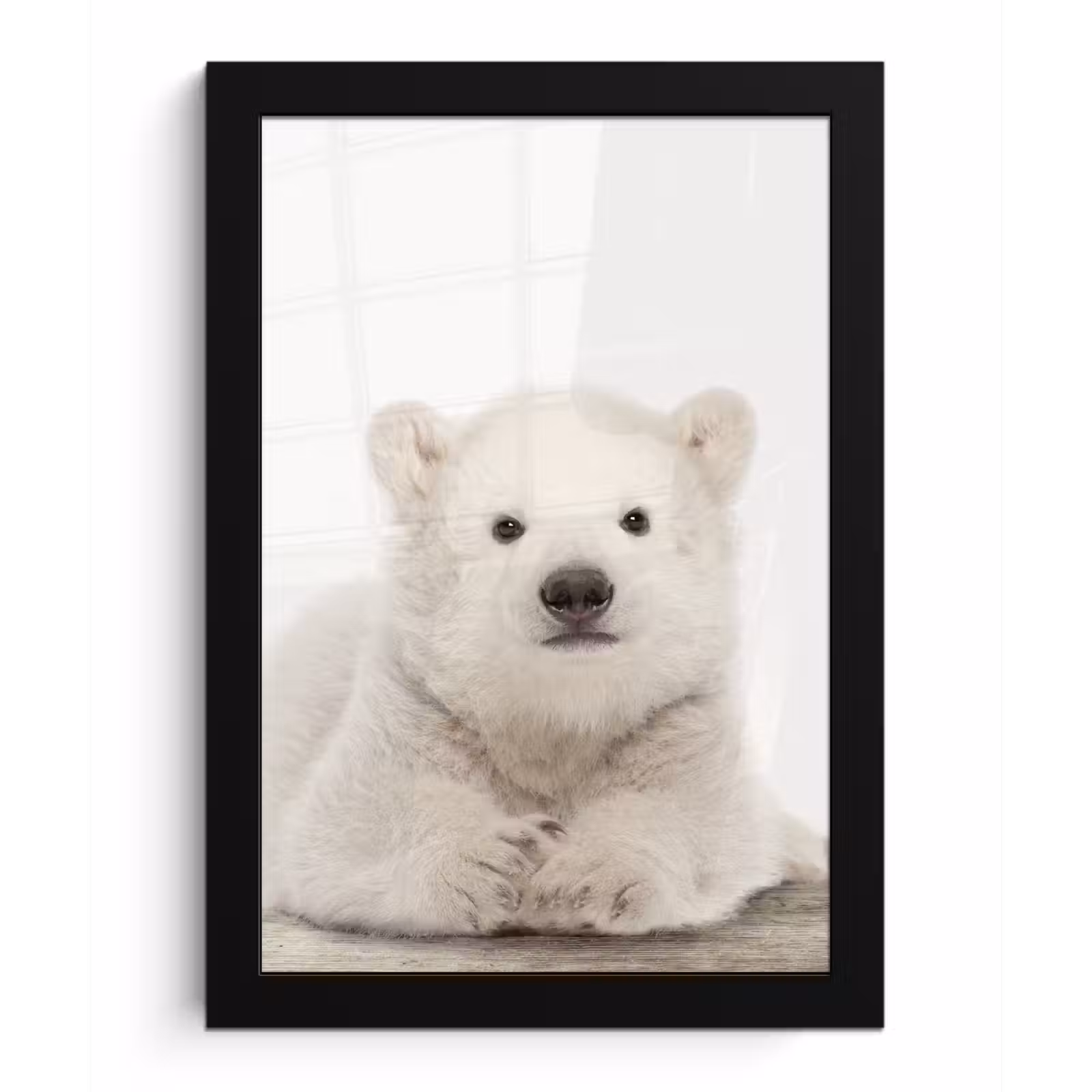 Poster met lijst - IJsbeer - Dieren - Kinderen - Wit - Jongens - Meisjes — 1