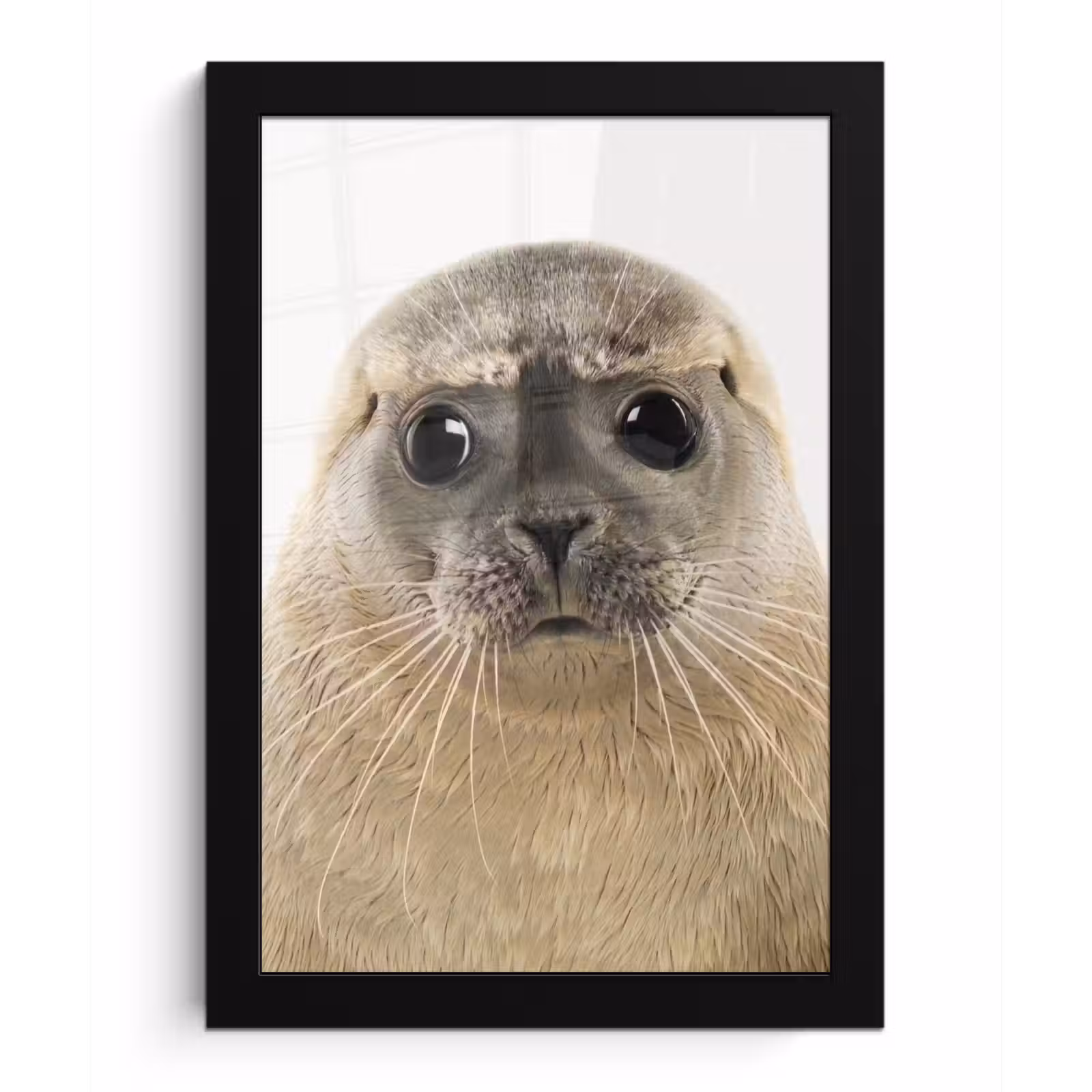 Poster met lijst - Jongens - Zeehond - Kinderen - Meisjes - Dieren — 1