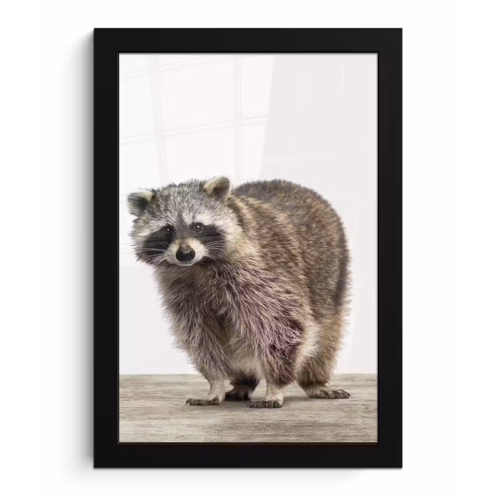 Poster met lijst - Wasbeer - Dieren - witte achtergrond -Jongens - Meisjes - Kinderen — 1
