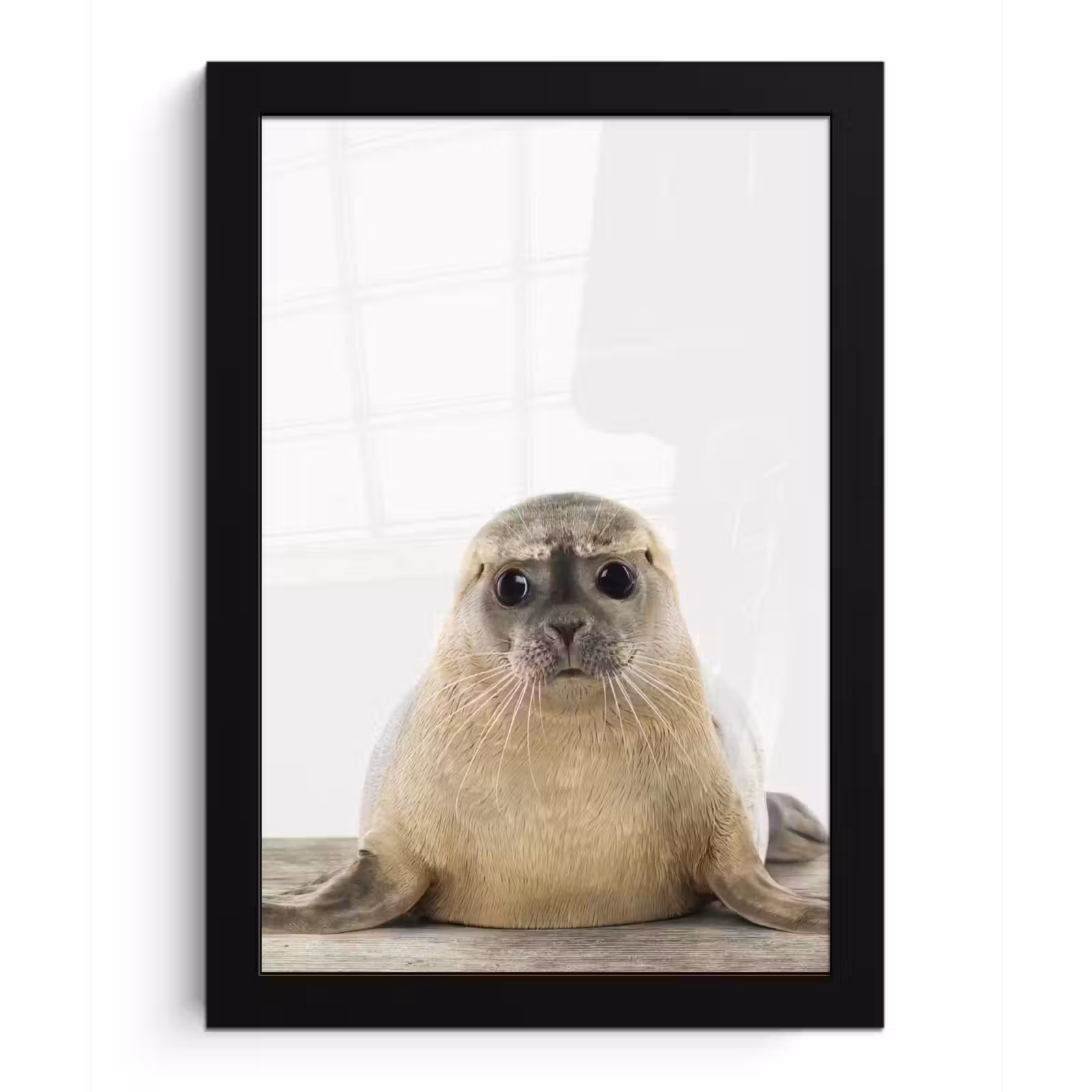 Poster met lijst - Zeehond - Dieren - Kind - Jongens - Meisjes - Kinderen — 1
