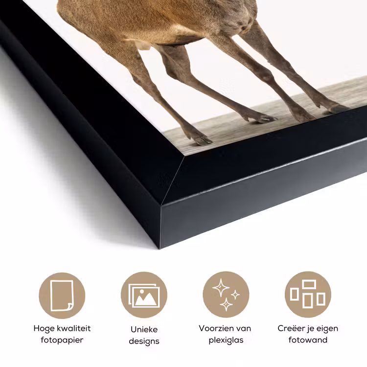 Poster met lijst - Hert - Dieren - Gewei - Kinderen - Meisjes - Jongens — 6