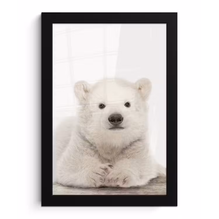 Poster met lijst - IJsbeer - Dieren - Kinderen - Wit - Jongens - Meisjes — 1