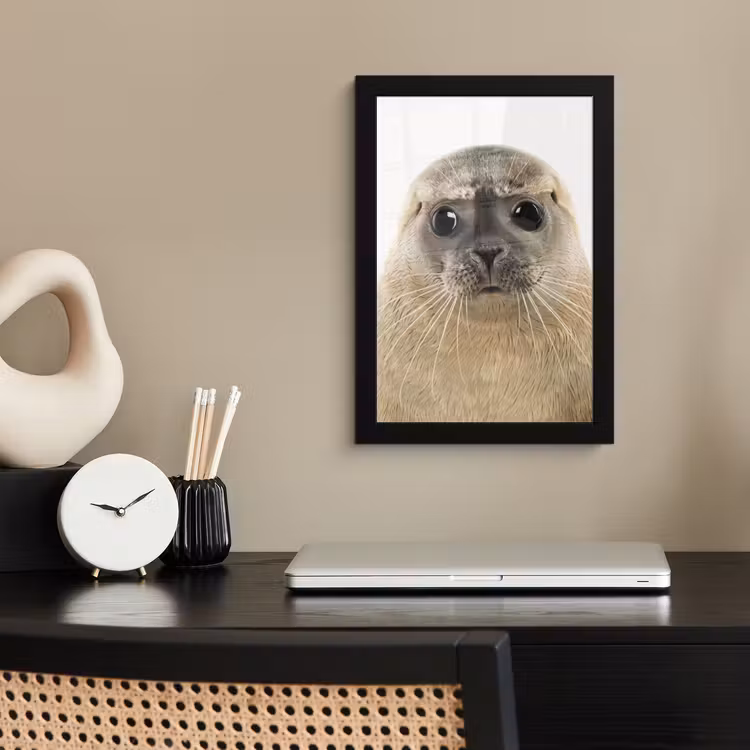 Poster met lijst - Jongens - Zeehond - Kinderen - Meisjes - Dieren — 2