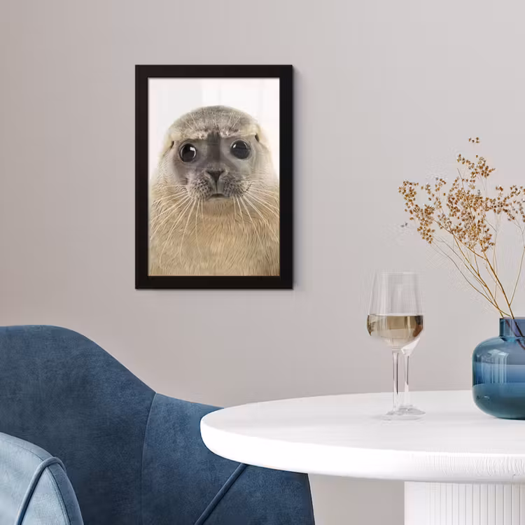 Poster met lijst - Jongens - Zeehond - Kinderen - Meisjes - Dieren — 4