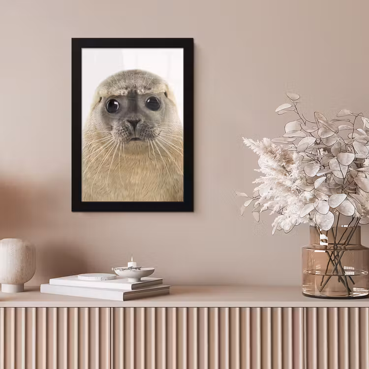 Poster met lijst - Jongens - Zeehond - Kinderen - Meisjes - Dieren — 5