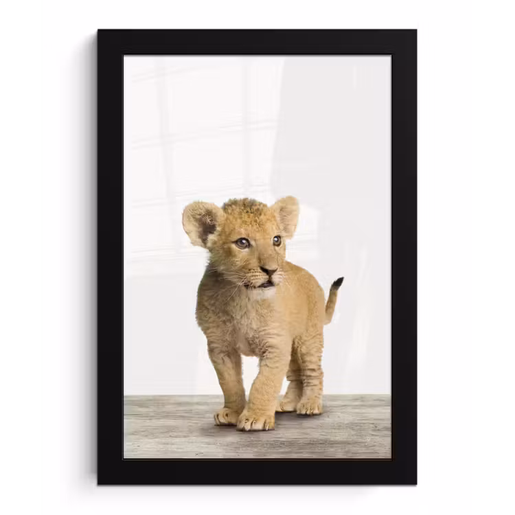 Poster met lijst - Leeuw - Welp - Kinderen - Jongens - Dieren - Meisjes — 1