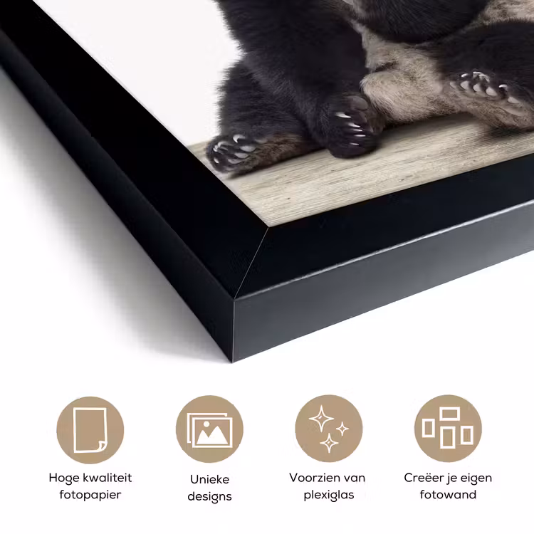 Poster met lijst - Panda - Dieren - Kinderen - Jongens - Meisjes - Pandabeer — 6