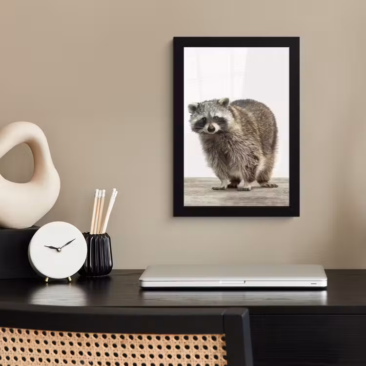 Poster met lijst - Wasbeer - Dieren - witte achtergrond -Jongens - Meisjes - Kinderen — 2
