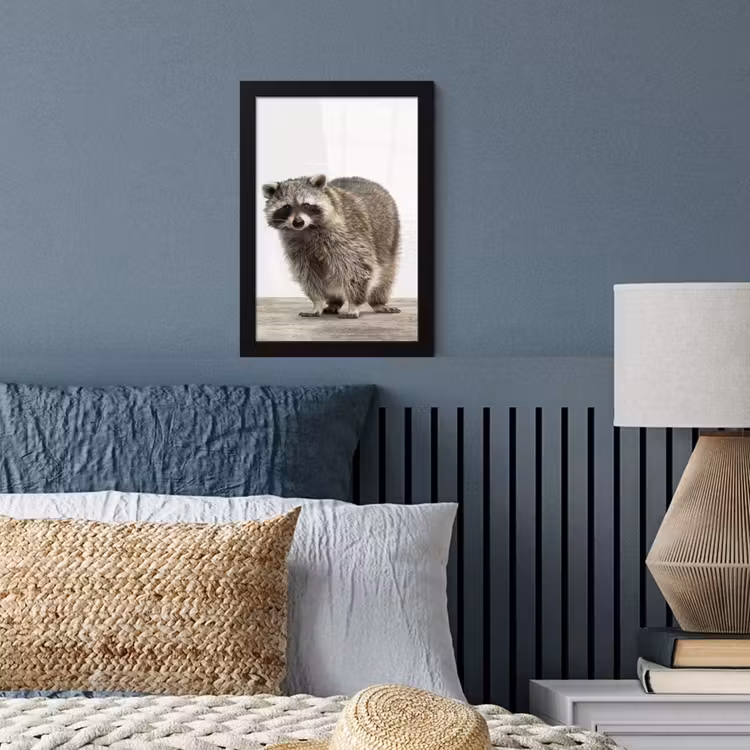 Poster met lijst - Wasbeer - Dieren - witte achtergrond -Jongens - Meisjes - Kinderen — 3