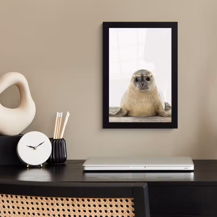 Poster met lijst - Zeehond - Dieren - Kind - Jongens - Meisjes - Kinderen — 2