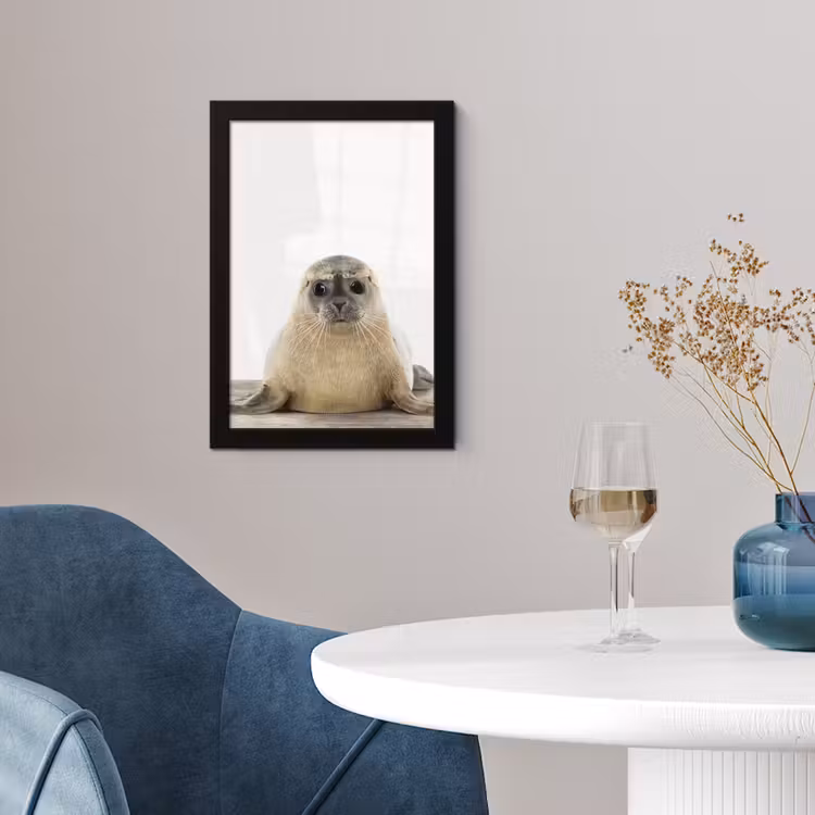 Poster met lijst - Zeehond - Dieren - Kind - Jongens - Meisjes - Kinderen — 4