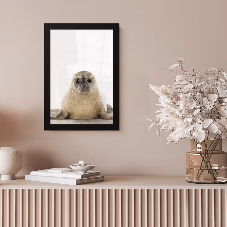 Poster met lijst - Zeehond - Dieren - Kind - Jongens - Meisjes - Kinderen — 5