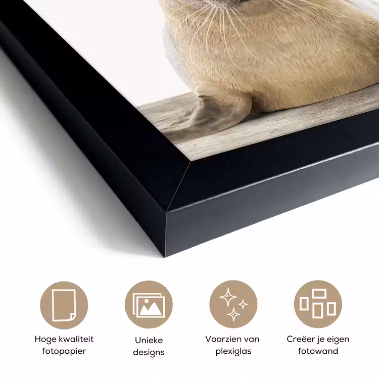 Poster met lijst - Zeehond - Dieren - Kind - Jongens - Meisjes - Kinderen — 6