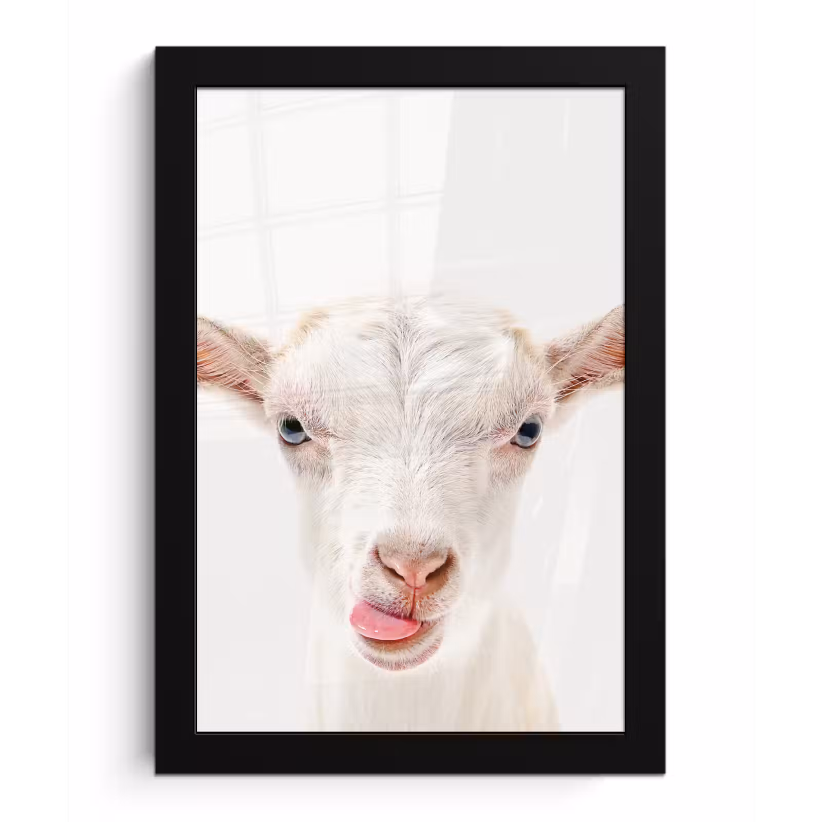 Poster met lijst - Geit - Portret - Jongen - Meisjes - Kids - Wit — 1