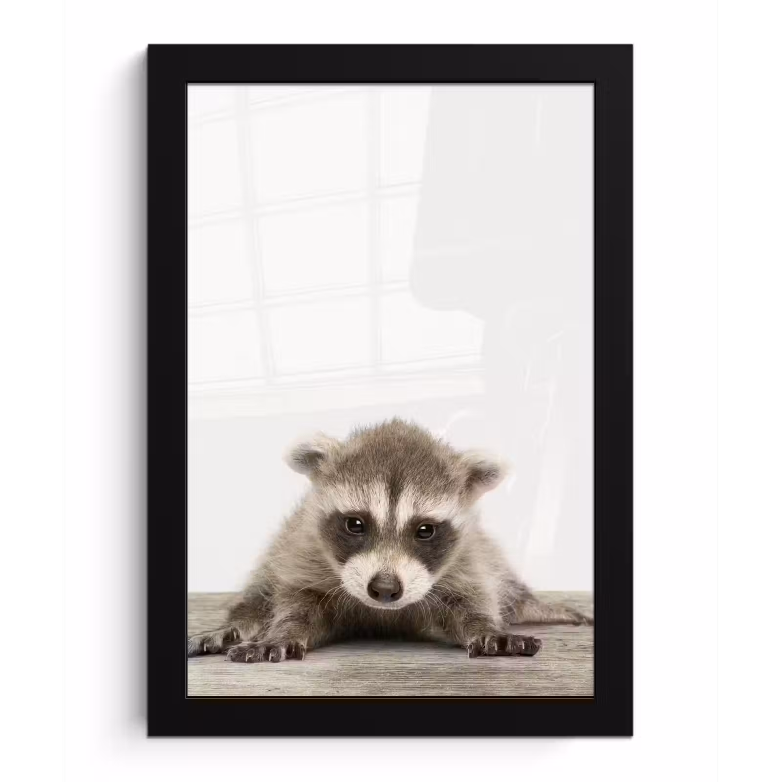 Poster met lijst - Wasbeer - Dieren - Kinderen - Jongens - Meisjes — 1