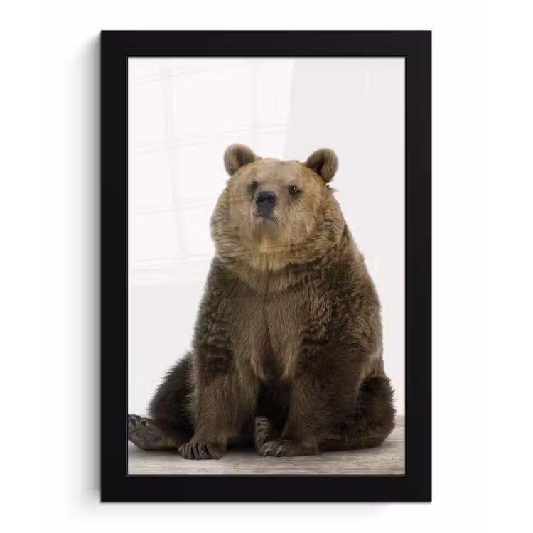 Poster met lijst - Bruine beer - Dieren - Beer - Schattig - Jongens - Meisjes — 1