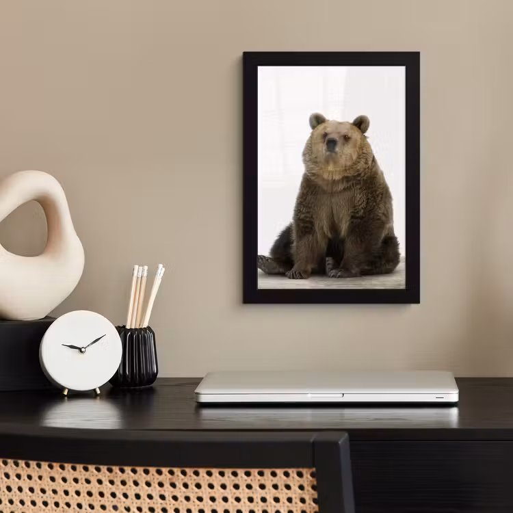 Poster met lijst - Bruine beer - Dieren - Beer - Schattig - Jongens - Meisjes — 2