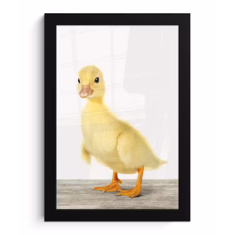 Poster met lijst - Eend - Kuiken - Dieren - Lief - Meisjes - Jongens - Kinderen — 1