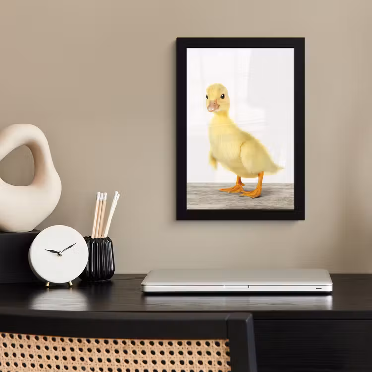Poster met lijst - Eend - Kuiken - Dieren - Lief - Meisjes - Jongens - Kinderen — 2