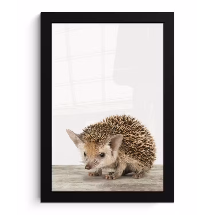 Poster met lijst - Egel - Dieren - Kinderen - Jongens - Meisjes — 1