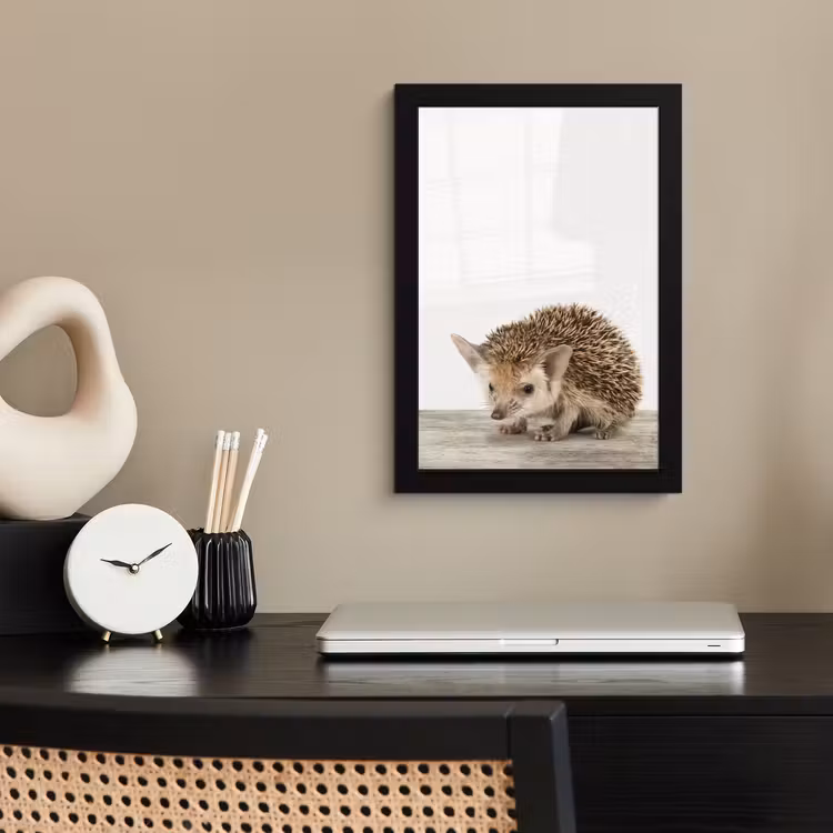 Poster met lijst - Egel - Dieren - Kinderen - Jongens - Meisjes — 2