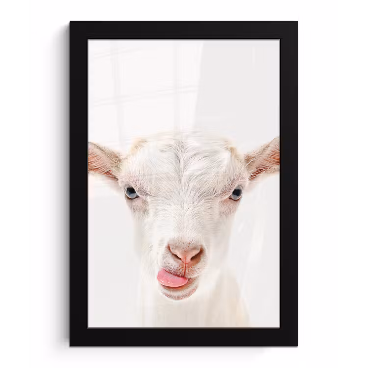 Poster met lijst - Geit - Portret - Jongen - Meisjes - Kids - Wit — 1