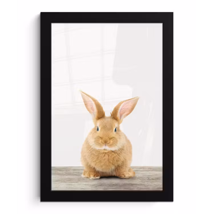 Poster met lijst - Konijn - Baby konijn - Dieren - Kind - Meisjes - Jongens — 1