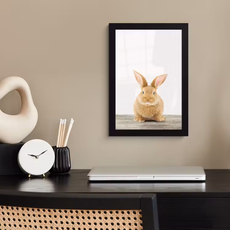Poster met lijst - Konijn - Baby konijn - Dieren - Kind - Meisjes - Jongens — 2