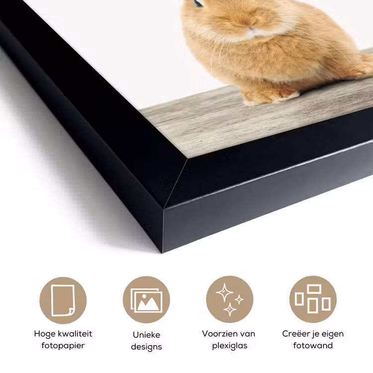 Poster met lijst - Konijn - Baby konijn - Dieren - Kind - Meisjes - Jongens — 6