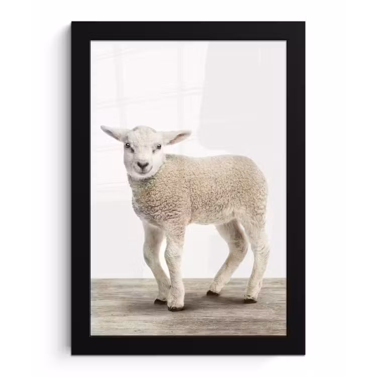 Poster met lijst - Lammetje - Schaap - Dieren - Kinderen - Meisjes - Jongens — 1