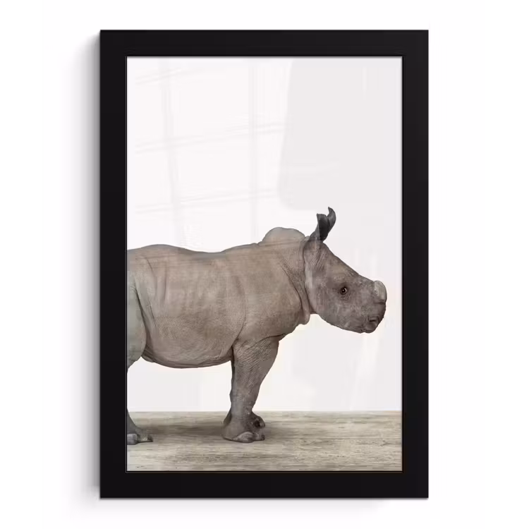 Poster met lijst - Neushoorn - Dieren - Kinderen - Jongens - Meisjes — 1