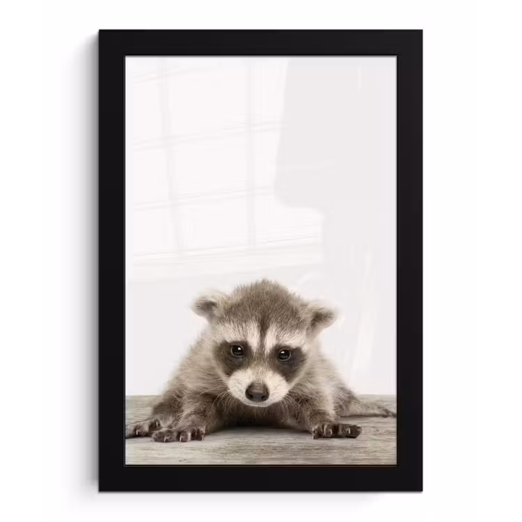 Poster met lijst - Wasbeer - Dieren - Kinderen - Jongens - Meisjes — 1