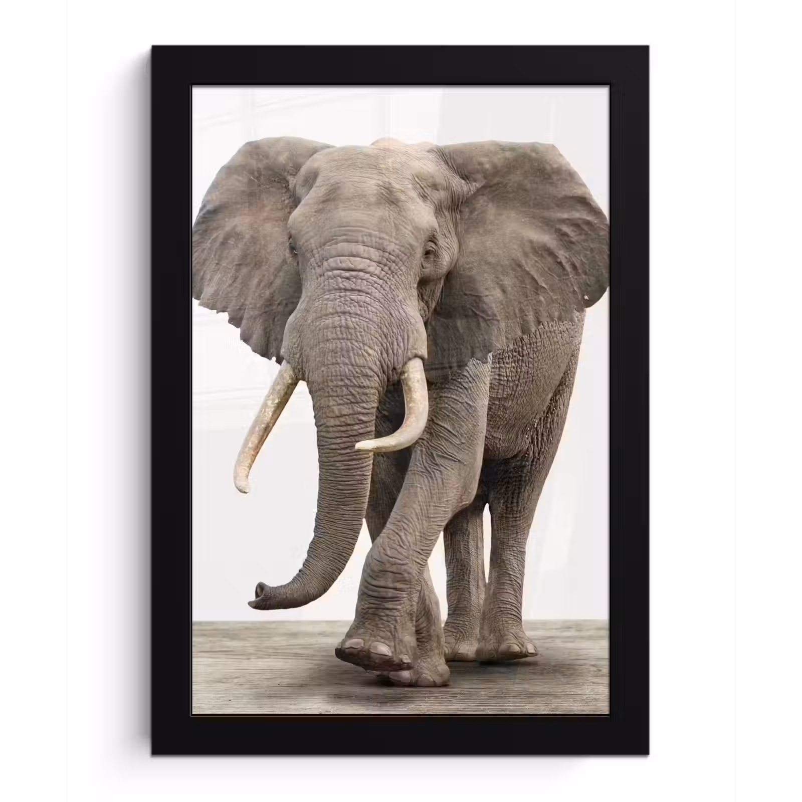 Poster met lijst - Olifant - Kinderen - Jongens - Dieren - Meisjes — 1