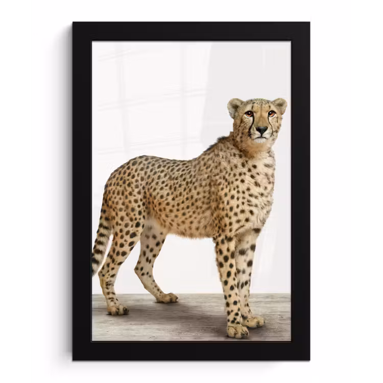 Poster met lijst - Luipaard - Dieren - Witte achtergrond - Kinderen - Jongens - Meisjes — 1