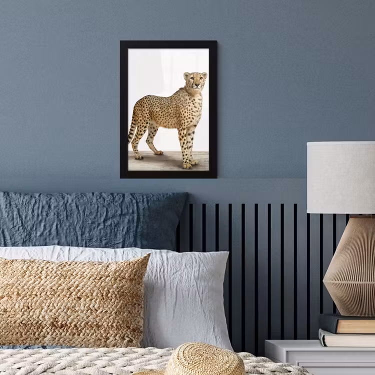 Poster met lijst - Luipaard - Dieren - Witte achtergrond - Kinderen - Jongens - Meisjes — 3