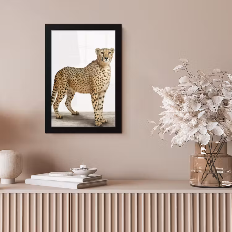 Poster met lijst - Luipaard - Dieren - Witte achtergrond - Kinderen - Jongens - Meisjes — 5