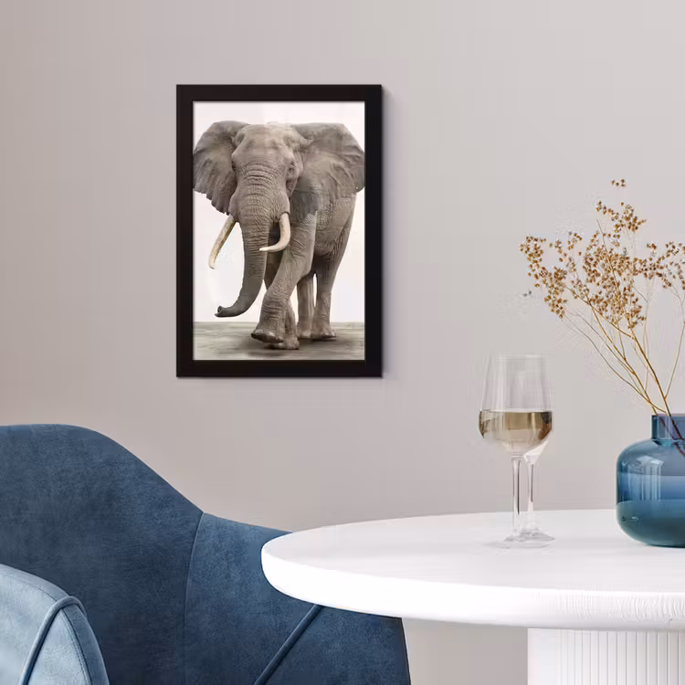 Poster met lijst - Olifant - Kinderen - Jongens - Dieren - Meisjes — 4