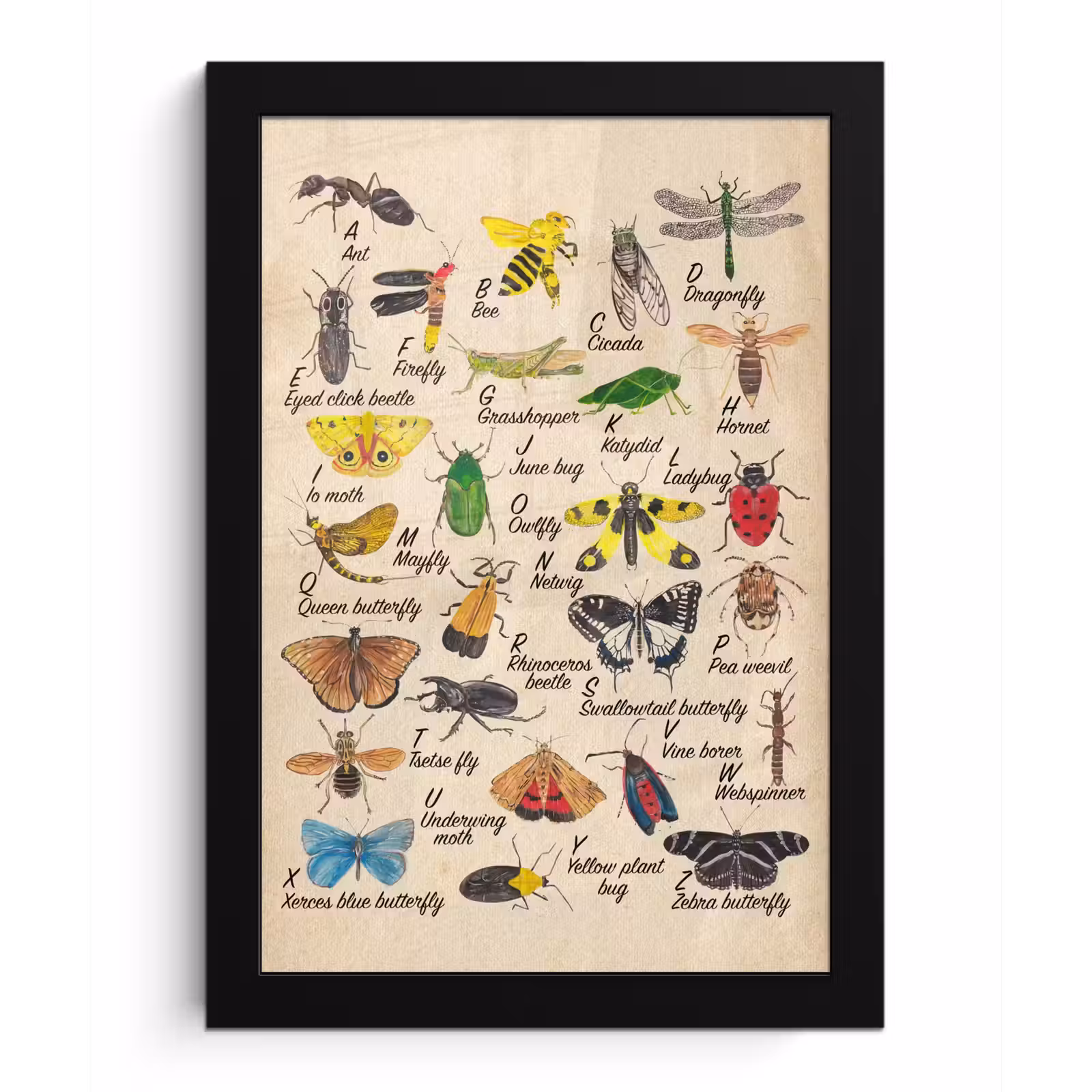 Poster met lijst - Alfabet - Insecten - Educatief - Retro - Bruin - Jongens - Meid - Kinderen — 1