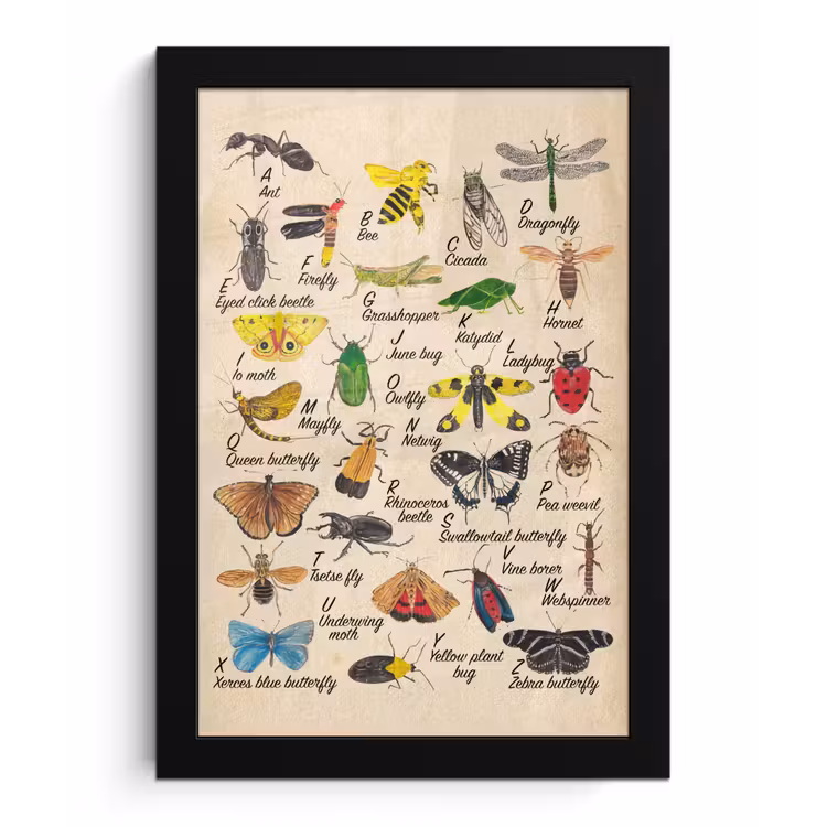 Poster met lijst - Alfabet - Insecten - Educatief - Retro - Bruin - Jongens - Meid - Kinderen — 1