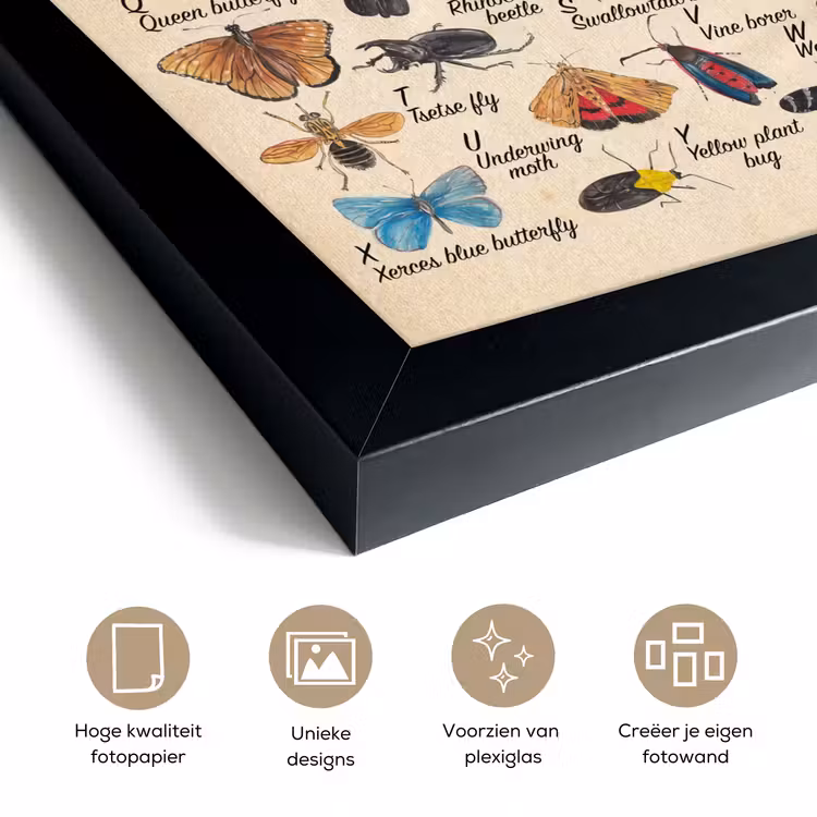 Poster met lijst - Alfabet - Insecten - Educatief - Retro - Bruin - Jongens - Meid - Kinderen — 6