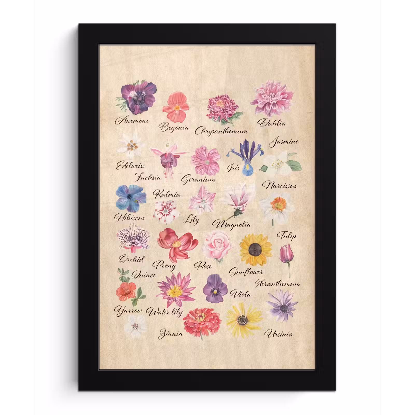 Poster met lijst - Alfabet - Bloemen - Planten - Educatief - Retro - Kind - Kids — 1