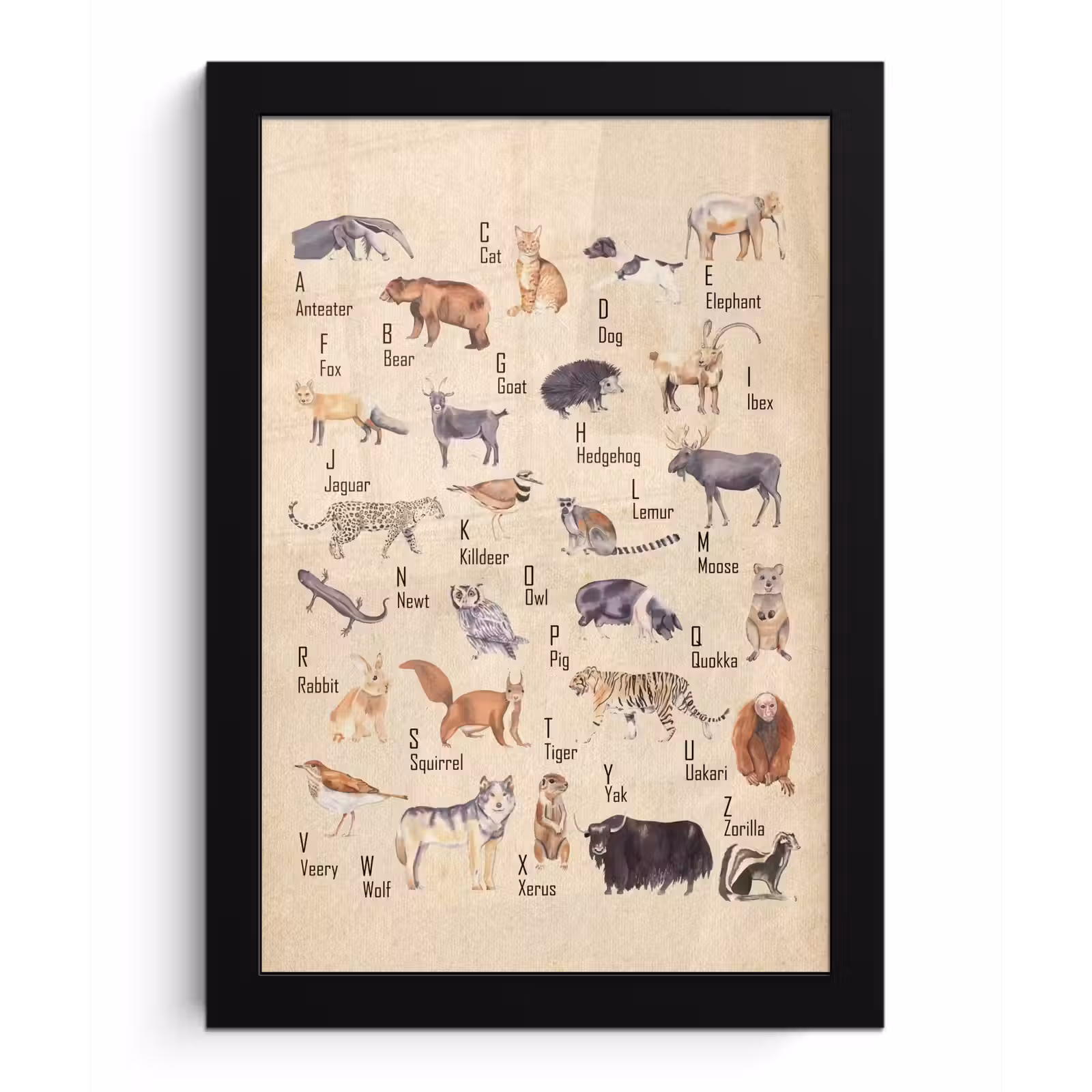 Poster met lijst - Alfabet - Dieren - Hond - Kat - Educatief - Retro - Kind - Kinderen — 1