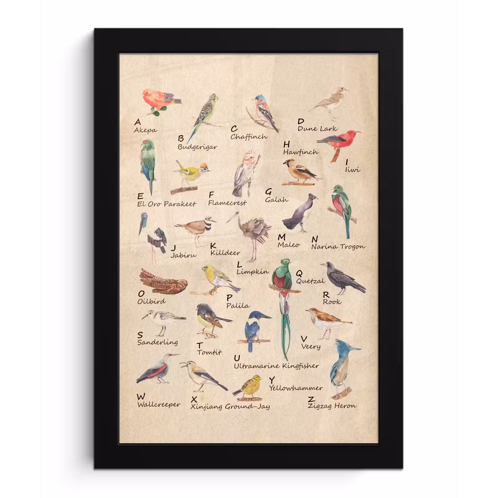 Poster met lijst - Alfabet - Vogel - Educatief - Retro - Letters - Kind - Kinderen — 1