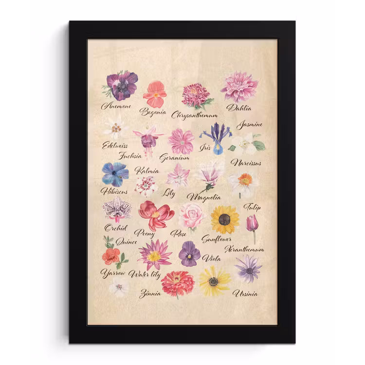 Poster met lijst - Alfabet - Bloemen - Planten - Educatief - Retro - Kind - Kids — 1