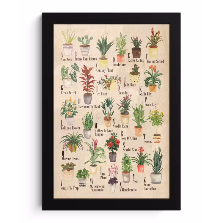 Poster met lijst - Alfabet - Planten - Cactus - Educatief - Bruin - Kinderen - Kids — 1