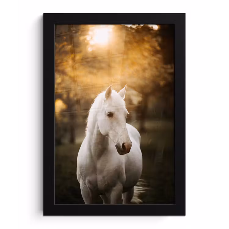 Poster met lijst - Paard - Zon - Herfst - Dieren - Natuur — 1