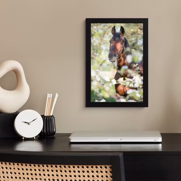 Poster met lijst - Paarden - Bloesem - Lente - Dieren — 2
